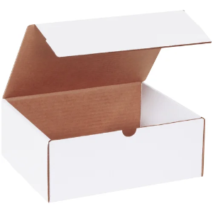 10 1/4 x 8 1/4 x 4" White Corrugated Literature Mailer Boxes