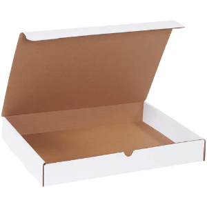 15 1/8 x 11 1/8 x 2" White Corrugated Literature Mailer Boxes