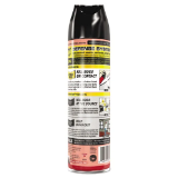 Raid Ant and Roach Killer - 17.5 oz. Aerosol Spray